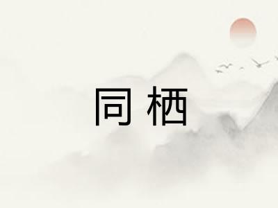 同栖 同栖
