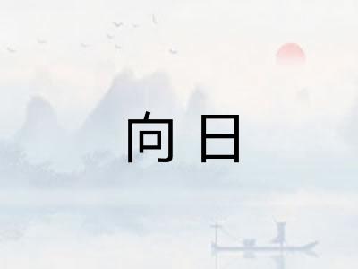 向日 向日