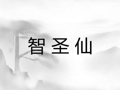 智圣仙 智圣仙