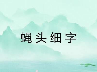 蝇头细字