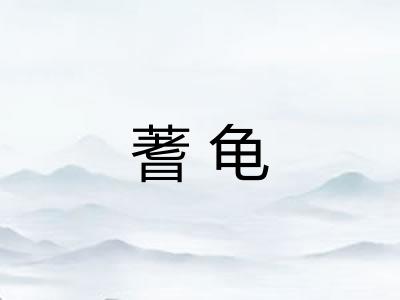 蓍龟