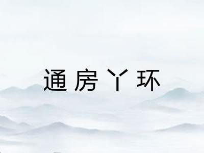 通房丫环