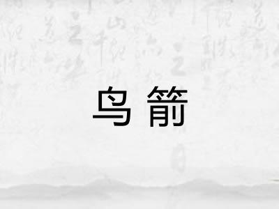 鸟箭