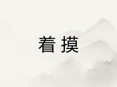 着摸