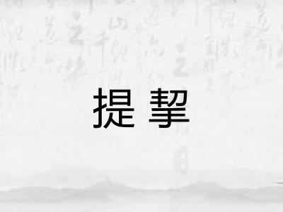 提挈 提挈