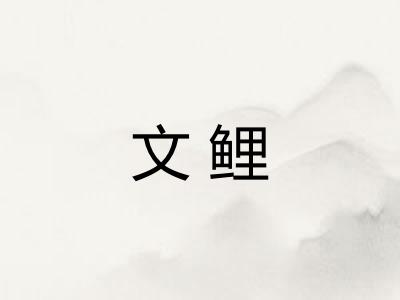 文鲤 文鲤