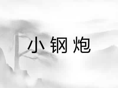 小钢炮