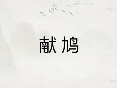 献鸠