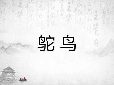 鸵鸟
