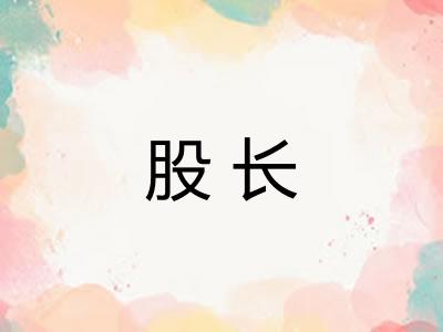 股长 股长