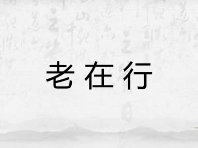 老在行