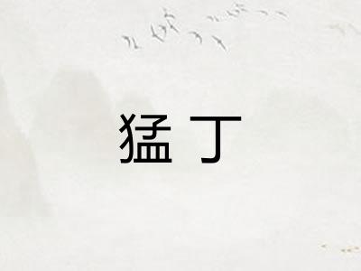 猛丁