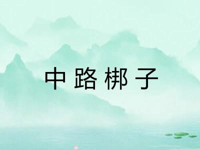 中路梆子 中路梆子