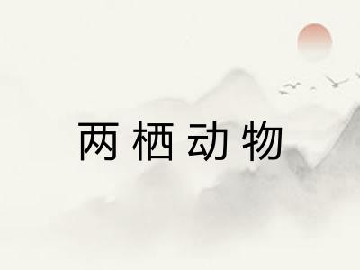 两栖动物 两栖动物