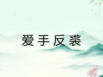 爱手反裘