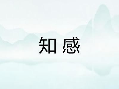 知感 知感