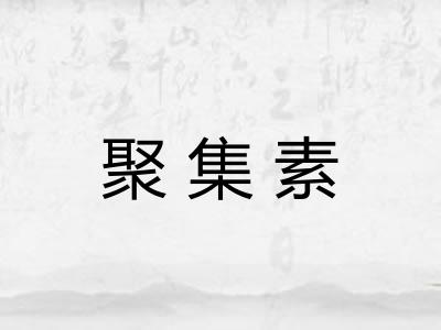 聚集素 聚集素
