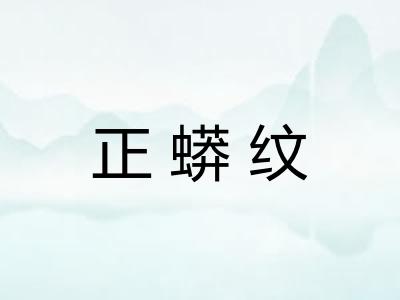 正蟒纹 正蟒纹