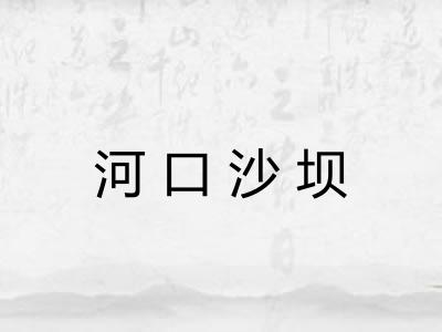 河口沙坝 河口沙坝