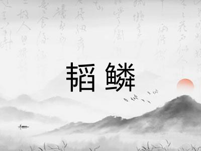 韬鳞