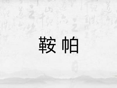 鞍帕