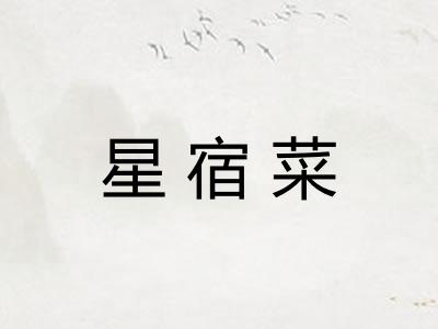 星宿菜