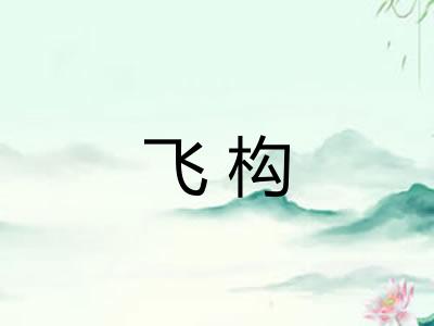 飞构