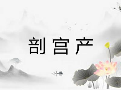 剖宫产 剖宫产