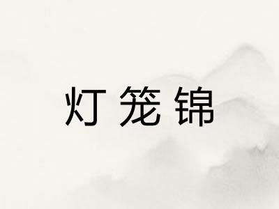 灯笼锦