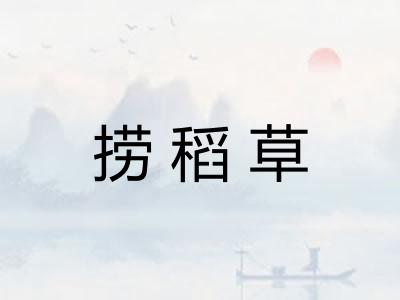 捞稻草 捞稻草
