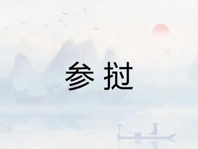 参挝