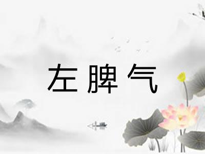 左脾气