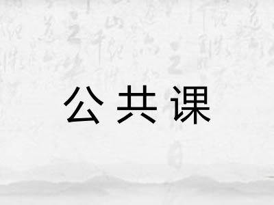 公共课 公共课
