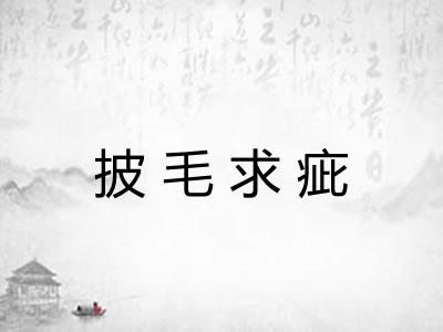 披毛求疵