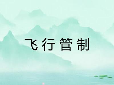 飞行管制