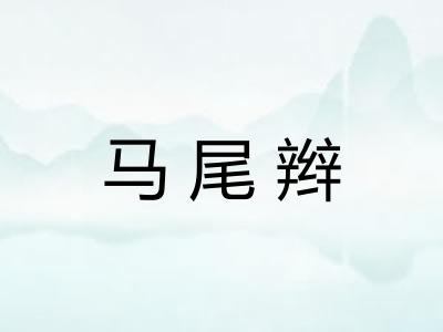 马尾辫