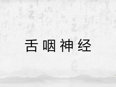舌咽神经 舌咽神经