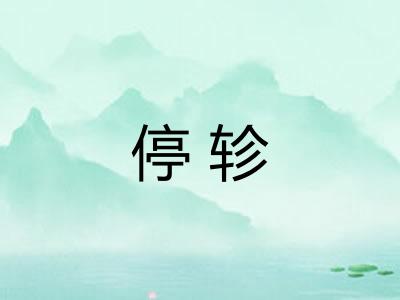停轸
