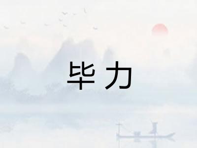毕力