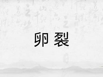 卵裂