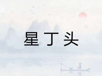 星丁头