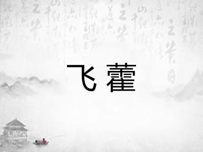 飞藿