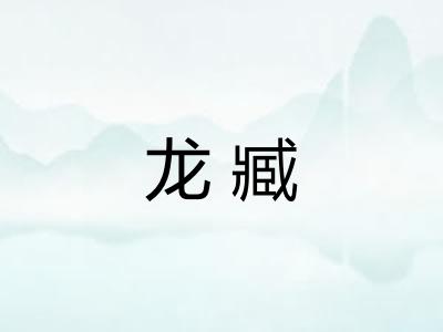龙臧