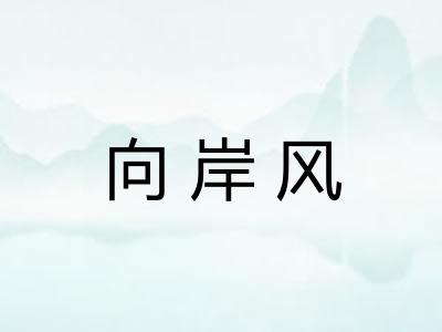 向岸风