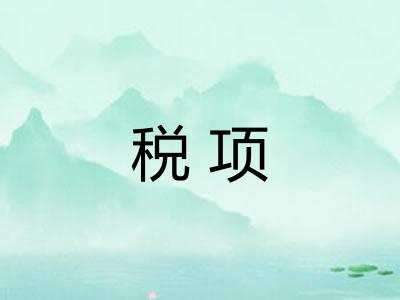 税项