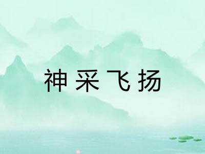 神采飞扬