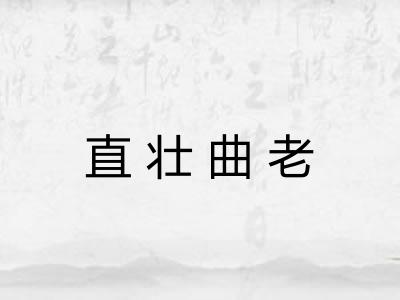 直壮曲老 直壮曲老