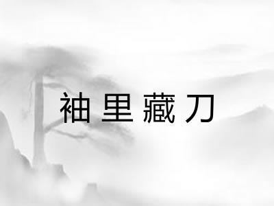 袖里藏刀