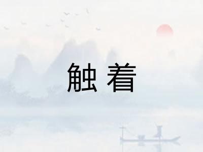 触着