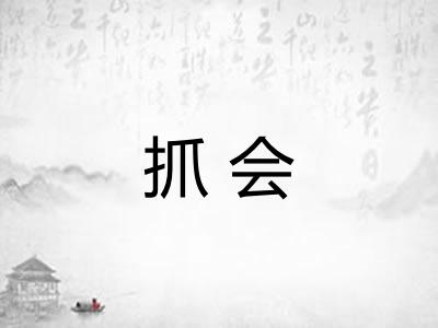 抓会